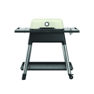 Everdure by Heston Blumenthal Force 2 Burner Gas Braai Stone - E2G1SS