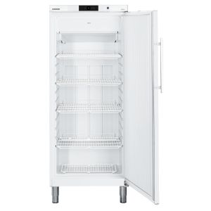 Liebherr 421Lt White Freezer - GGV5010