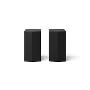 LG Rear Speaker - SPT8-S