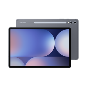 Samsung Grey Galaxy Tab S10 Plus - SM-X826BZAAAFA 