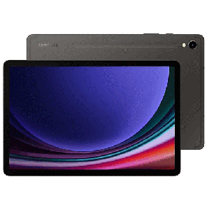 Samsung Grey Galaxy Tab S9 WIFI - SM-X710NZAAAFA